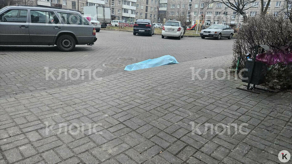 Медики скорой констатировали смерть и ждали приезда полиции  | Фото: очевидец