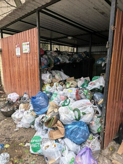 Над бульваром летят пакеты: три адреса в Калининграде, где не хватает чистоты (фото, видео)  - Новости Калининграда | Фото: «Клопс»