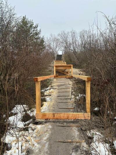 Для гостей Куршской косы делают новый переход через авандюну (фото) - Новости Калининграда | Фото: канал национального парка «Куршская коса» / Телеграм