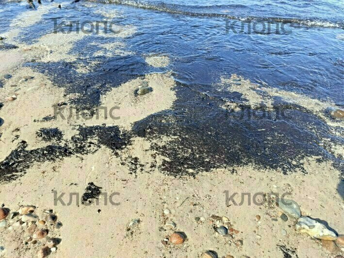 Эмоции Талалаева, смерть на улице и чёрная жижа на море: 6 наиболее резонансных событий выходных в Калининграде   - Новости Калининграда | Фото: очевидцы