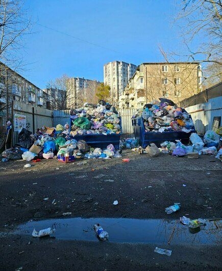 Фото: Ирина | Фото: «Клопс»