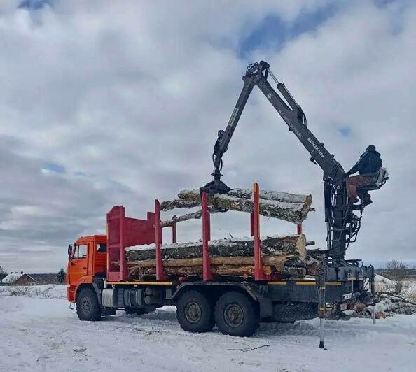 В лесничестве под Полесском начали вырубать больные и повреждённые деревья - Новости Калининграда | Фото: канал министерства природных ресурсов и экологии Калининградской области / Телеграм