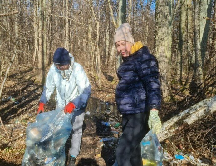 Десять кубов мусора и первые грибы сезона: месячник лесных субботников стартовал в Калининградской области (фото)   - Новости Калининграда | Фото: Николай Смирнов