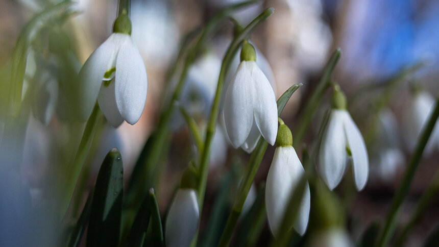 Ночной дождь и заморозки, какой будет погода в Калининграде и области 17 марта - Новости Калининграда | Фото: Александр Подгорчук / Архив «Клопс»