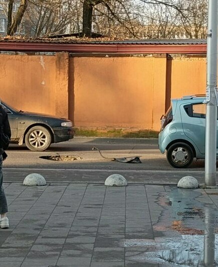 В центре Калининграда дорожную яму загородили стульями, опасные дыры появились и в других местах (фото) - Новости Калининграда | Фото читателей