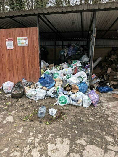 Над бульваром летят пакеты: три адреса в Калининграде, где не хватает чистоты (фото, видео)  - Новости Калининграда | Фото: «Клопс»