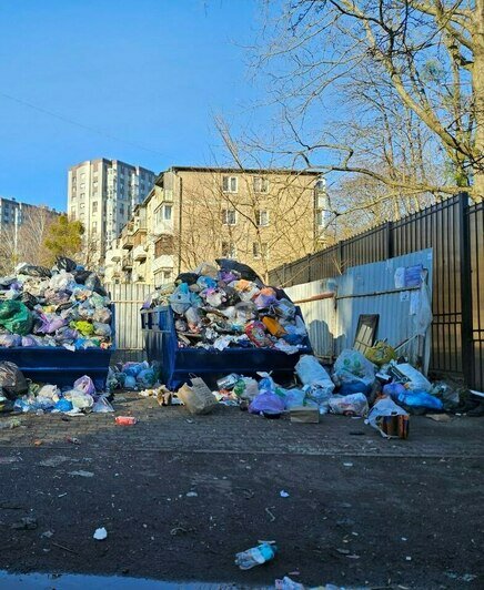 Фото: Ирина | Фото: «Клопс»