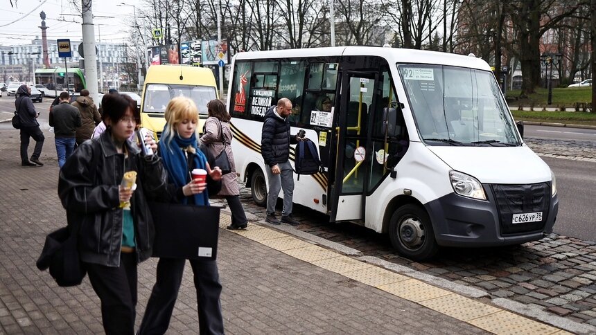Глава Калининграда предложил закупить маршрутки для «ГорТранса» - Новости Калининграда | Фото: Александр Подгорчук / Архив «Клопс»