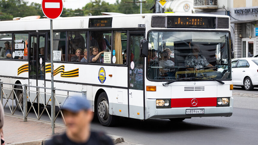 Калининградские автобусники в 2025-м заплатили больше штрафов, чем годом ранее - Новости Калининграда | Фото: Александр Подгорчук / Архив «Клопс»