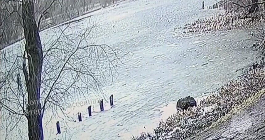 Лёд только кажется безопасным | Фото: кадр видео с камеры "Безопасный город"