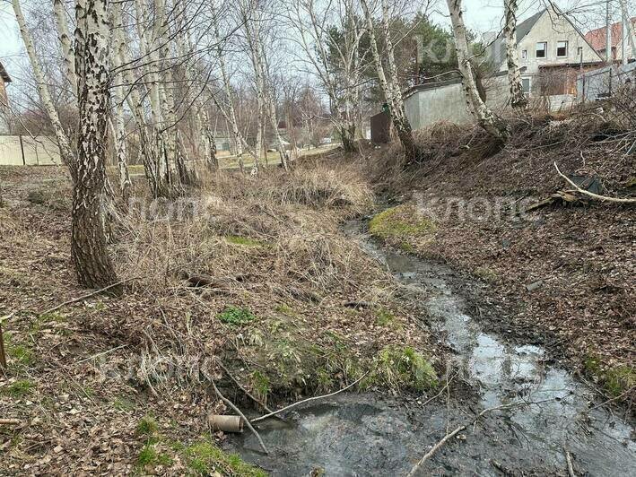 «От зловония некуда деться»: в Янтарном десятки мутных стоков впадают в море (видео)  - Новости Калининграда | Фото: Игорь
