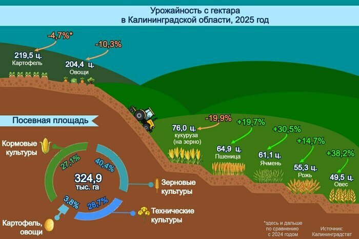Рекорд зерна - провал овощей: как изменился урожай в Калининградской области | Инфографика: Артем Пахоменко