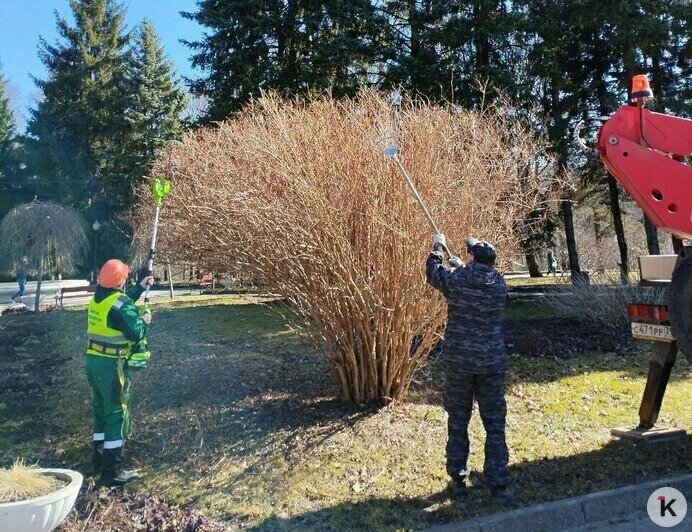 Из калининградских парков с начала марта вывезли около сотни тонн песка (фото)   - Новости Калининграда | Фото: Валерия Анисимова