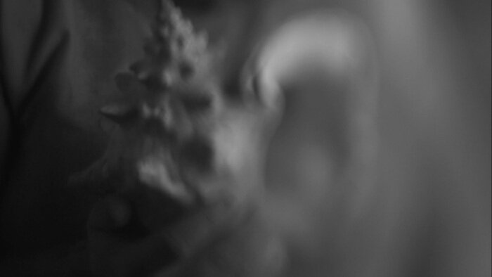 Калининградская арт-группа «Нежные бабы» подготовила инсталляцию, которая рассказывает о последствиях катастроф - Новости Калининграда | Фото предоставлено организаторами