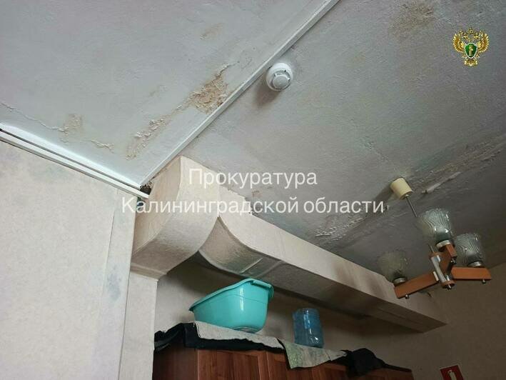 В Гурьевском районе после публикации «Клопс» закрыли Дом культуры в Петрово - Новости Калининграда | Фото: прокуратура Калининградской области