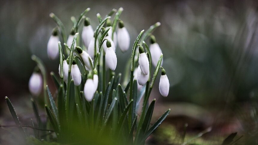 Карамельный праздник, вечер поэзии и встреча с психологом: куда бесплатно сходить в выходные в Калининградской области - Новости Калининграда | Фото: архив «Клопс»
