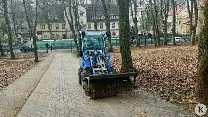 Из калининградских парков с начала марта вывезли около сотни тонн песка (фото)   - Новости Калининграда | Фото: Валерия Анисимова