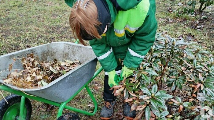 Из калининградских парков с начала марта вывезли около сотни тонн песка (фото)   - Новости Калининграда | Фото: Валерия Анисимова