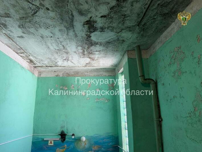 В Гурьевском районе после публикации «Клопс» закрыли Дом культуры в Петрово - Новости Калининграда | Фото: прокуратура Калининградской области