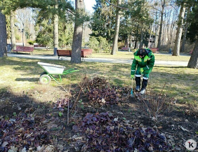 Из калининградских парков с начала марта вывезли около сотни тонн песка (фото)   - Новости Калининграда | Фото: Валерия Анисимова