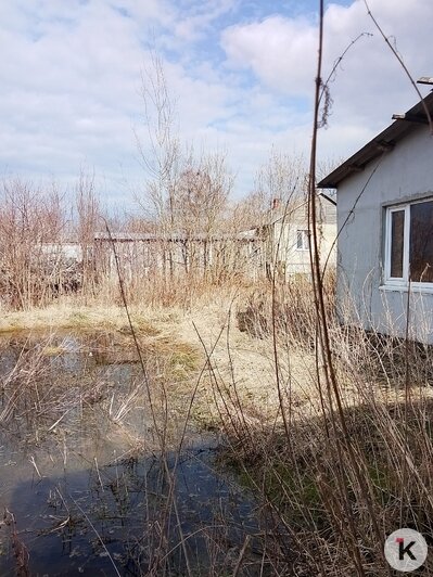 Болото с доставкой на дом: в Озёрском районе из-за засора дренажной системы подтопило 12 дворов (фото, видео)   - Новости Калининграда | Фото: Кристина Г.