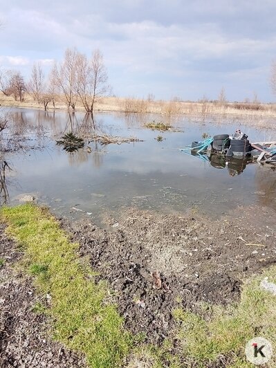 Болото с доставкой на дом: в Озёрском районе из-за засора дренажной системы подтопило 12 дворов (фото, видео)   - Новости Калининграда | Фото: Кристина Г.