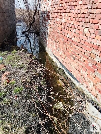 Болото с доставкой на дом: в Озёрском районе из-за засора дренажной системы подтопило 12 дворов (фото, видео)   - Новости Калининграда | Фото: Кристина Г.