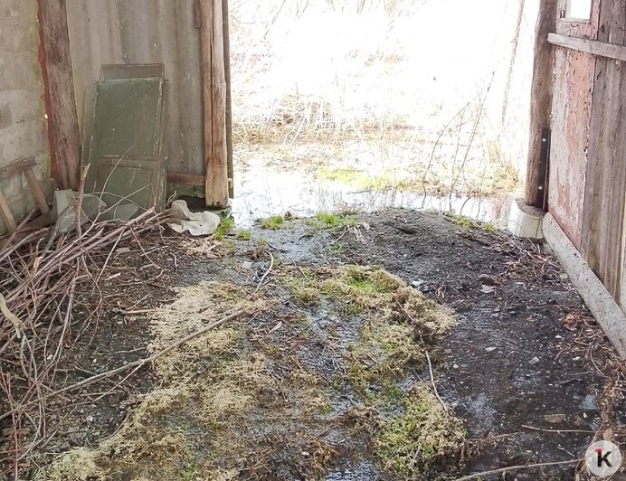 Болото с доставкой на дом: в Озёрском районе из-за засора дренажной системы подтопило 12 дворов (фото, видео)   - Новости Калининграда | Фото: Кристина Г.