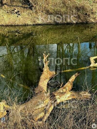 Место ДТП. | Фото: очевидец