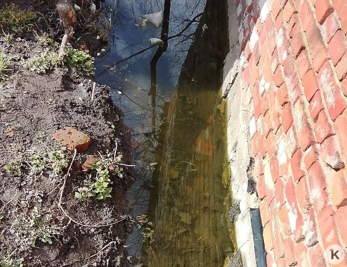 Болото с доставкой на дом: в Озёрском районе из-за засора дренажной системы подтопило 12 дворов (фото, видео)   - Новости Калининграда | Фото: Кристина Г.