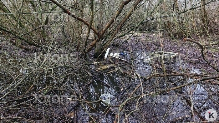 Место, где нашли сумку с телом  | Фото: Александр Подгорчук / архив «Клопс»