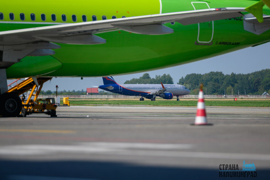 Прежде чем ехать в аэропорт, сегодня лучше уточнить статус рейса | Фото: Александр Мелехов