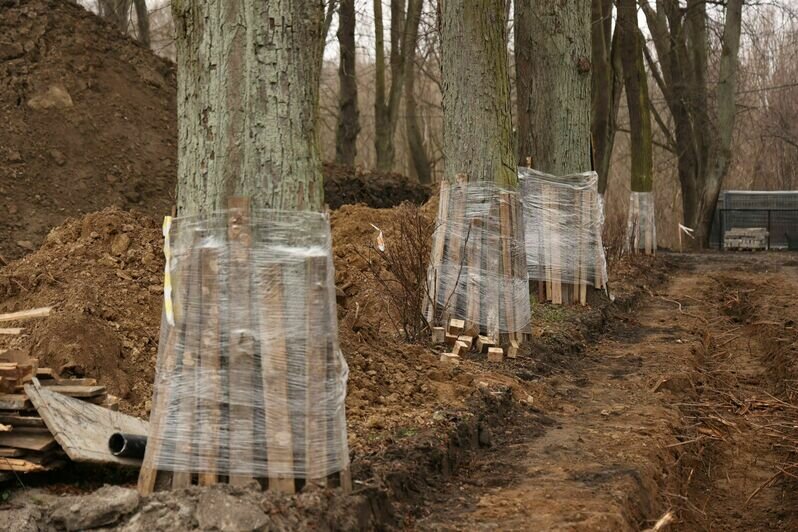 В Калининграде появится культурно-образовательный парк под звёздным небом (фото) - Новости Калининграда | Фото предоставлено администрацией Калининграда