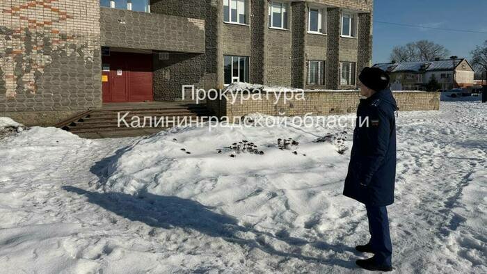 Блокада возможная и реальная, платные парковки и крайние в ДК: события недели, которые обсуждали в Калининграде   - Новости Калининграда | Фото: прокуратура Калининградской области