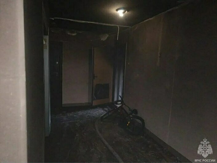Пострадали двое, среди них 5-летний ребёнок: в Калининграде вспыхнула квартира в многоэтажке - Новости Калининграда | Фото: МЧС региона