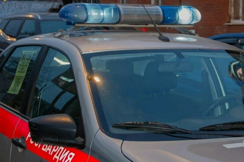 Туристов из Калининграда задержали за прогулку по крыше в центре Петербурга - Новости Калининграда | Фото: пресс-служба Росгвардии