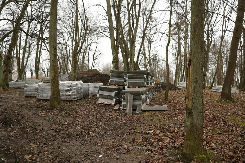 В Калининграде появится культурно-образовательный парк под звёздным небом (фото) - Новости Калининграда | Фото предоставлено администрацией Калининграда
