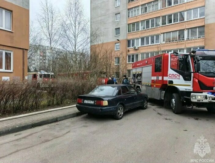 Пострадали двое, среди них 5-летний ребёнок: в Калининграде вспыхнула квартира в многоэтажке - Новости Калининграда | Фото: МЧС региона