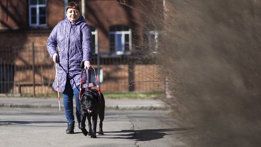 Доехать до моря: как собаки-поводыри помогают незрячим калининградцам снова чувствовать себя свободными (фото)   - Новости Калининграда | Фото: Александр Подгорчук / «Клопс»