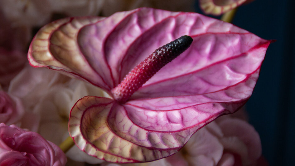 Работы мастера. | Фото: Маргарита Юркова