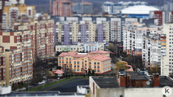 Рейтинг, от которого тревожно, жуки-релоканты и озабоченность заборами: события недели, которые обсуждали в Калининграде   - Новости Калининграда | Фото: Александр Подгорчук / Архив «Клопс»