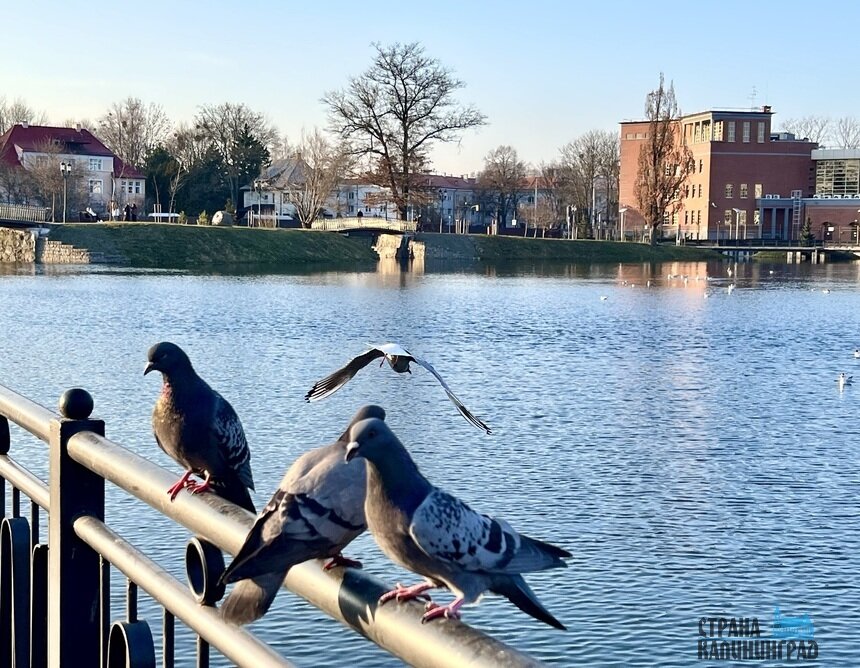 На выходных будет солнечно | Фото: Оксана Сазонова