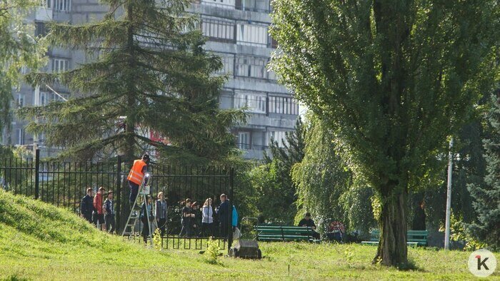 Рейтинг, от которого тревожно, жуки-релоканты и озабоченность заборами: события недели, которые обсуждали в Калининграде   - Новости Калининграда | Фото: Александр Подгорчук / Архив «Клопс»