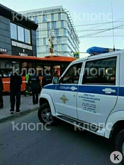 На Черняховского пассажирский автобус влетел в парикмахерскую (фото) - Новости Калининграда | Фото: очевидец