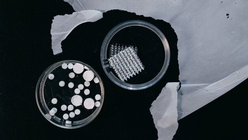 Учёные из Красноярска создали биопластик из отходов балтийской кильки и скумбрии - Новости Калининграда | Фото: Красноярский научный центр Сибирского отделения РАН