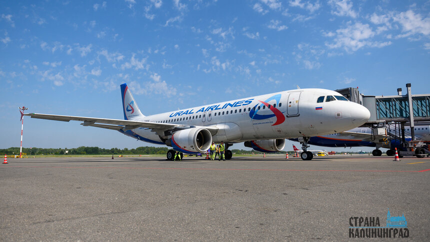 Из «Храброво» не улететь | Фото: Александр Мелехов