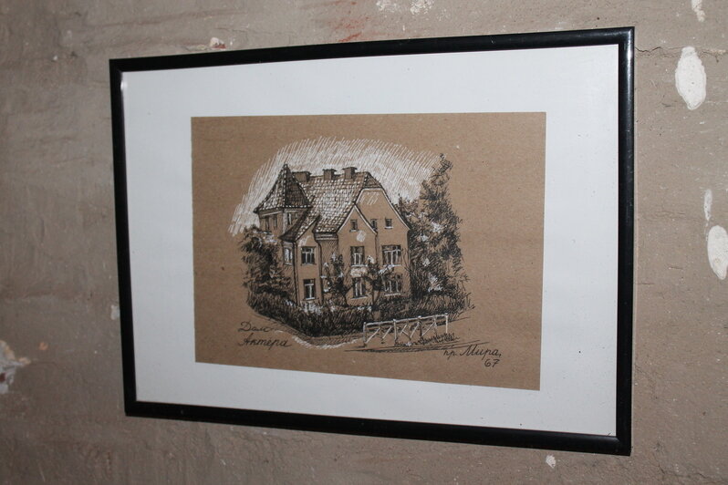 Сибирячка влюбилась в Калининград с первого взгляда, перевезла сюда большую семью и стала рисовать старые дома (фото) - Новости Калининграда | Фото: Алёна Михайлова