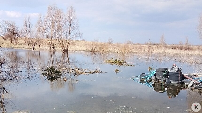 Виноваты канал и бобры: в подтопленном посёлке в Озёрском районе нашли «критические нарушения»   - Новости Калининграда | Фото: Кристина Г.