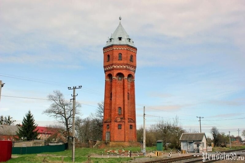 Сибирячка влюбилась в Калининград с первого взгляда, перевезла сюда большую семью и стала рисовать старые дома (фото) - Новости Калининграда | Фото: Лидия Тычкина