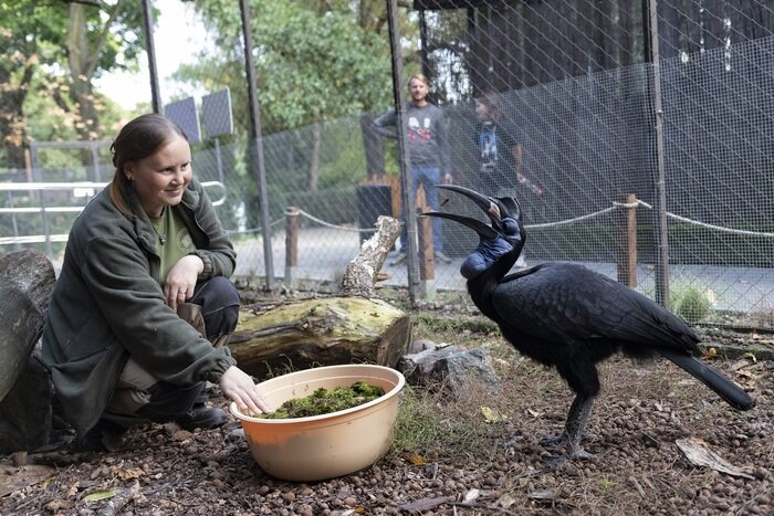 В зоопарке пройдет "День птиц" | Фото: пресс-служба зоопарка